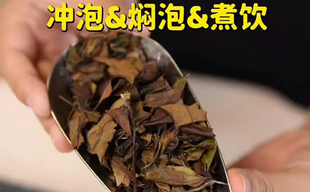 贡眉茶闷泡冲泡和煮饮
