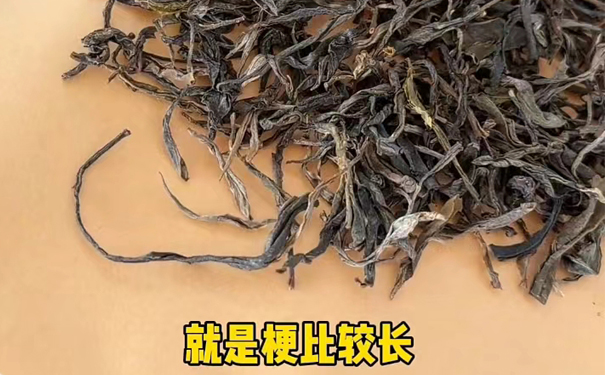 云南陈家寨古树普洱茶
