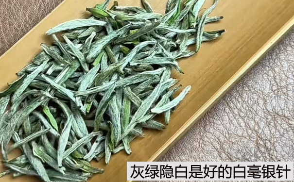 怎么样挑到好的白毫银针白茶