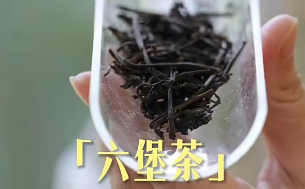六堡茶槟榔香型转化过程梳理