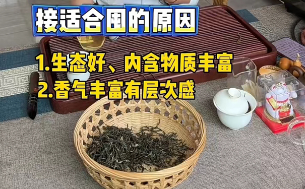 适合囤茶的原因