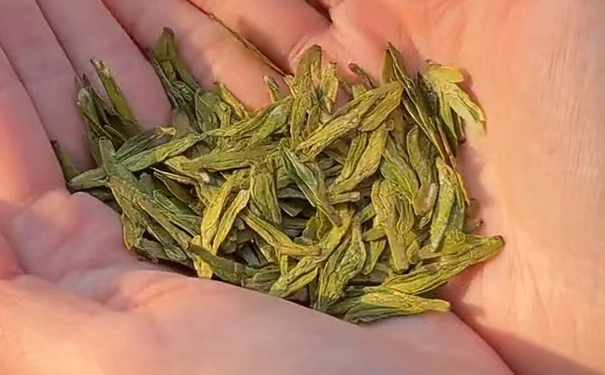 没香味西湖龙井茶是储存问题