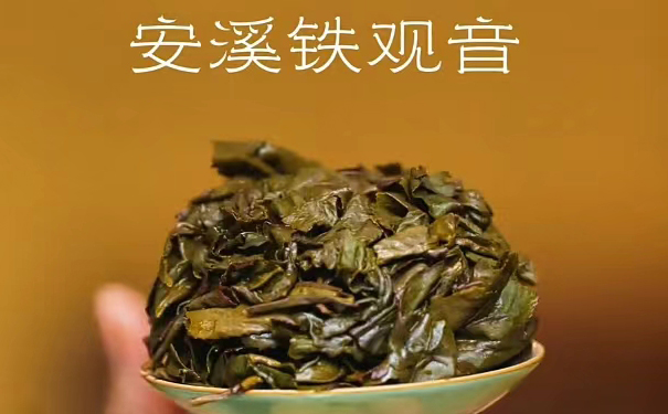 福建安溪南崎铁观音茶叶底
