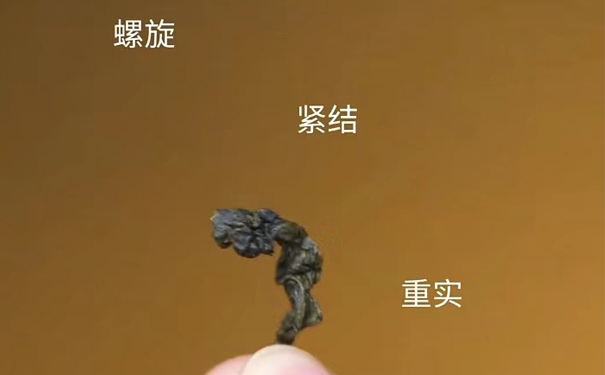 南崎铁观音冲泡出观音韵方法