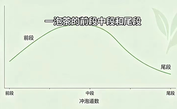 白茶冲泡必须经过段位和风味
