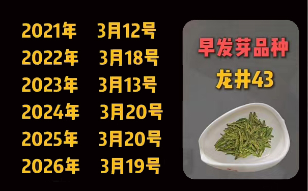 明前龙井茶不全是好茶看产地