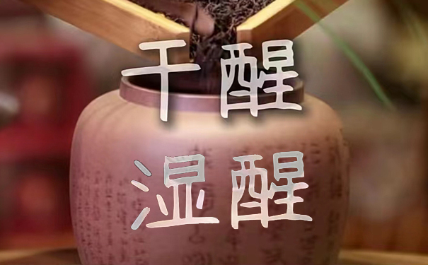 分析六堡茶干醒和湿醒的冲泡