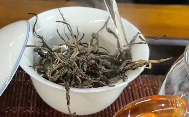 轻杀青云南古树普洱春茶转化实测