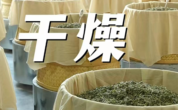 白茶干燥过程