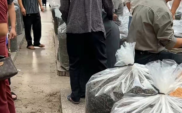 南崎正秋铁观音福建安溪茶都赶集拿茶