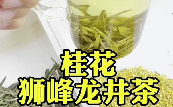 明前狮峰龙井配桂花的上投法冲泡