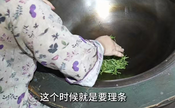 龙井茶炒制,理条塑形 炒茶过程中进行理条