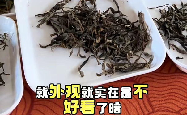 云南普洱生茶挑选记：从干茶到叶底的真实判断经验
