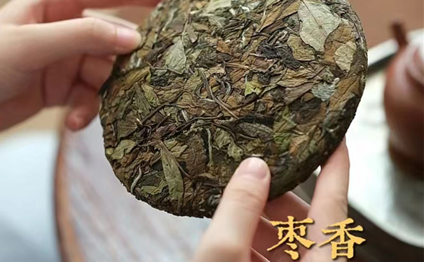 枣香白茶茶饼