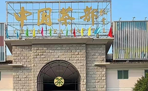 2026秋茶季福建安溪铁观音净茶区采购